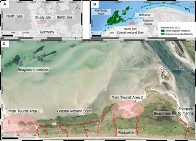 Human-Induced Hydrological Connectivity: Impacts of Footpaths on Beach Wrack Transport in a Frequently Visited Baltic Coastal Wetland